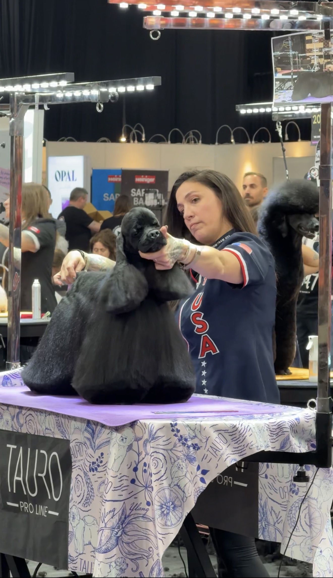 Mackensie grooming Chance at an international competition