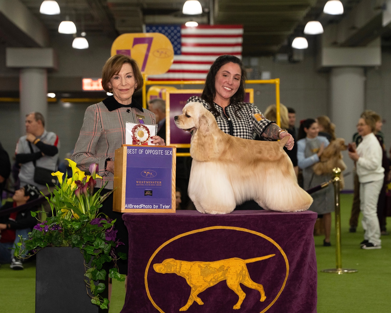 Mackensie with an American Cocker Spaniel at Westminster